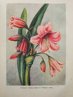 Комнатное садоводство / Ред. Киселёв Г. М., 1956.